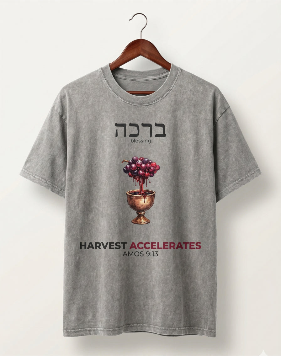 Amos 9:13 "Harvest Accelerates" Oversized Graphic Tee